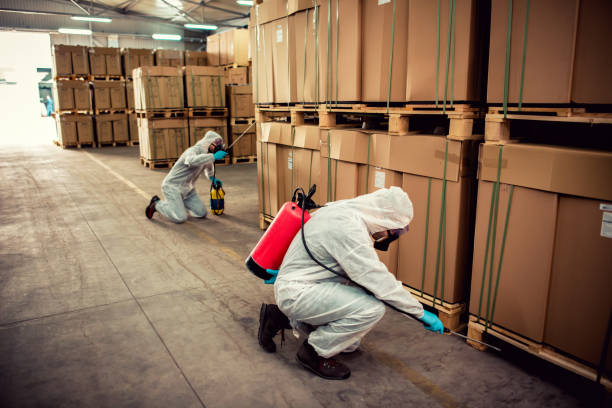 Best Cockroach Control Services  in South Greeley, WY