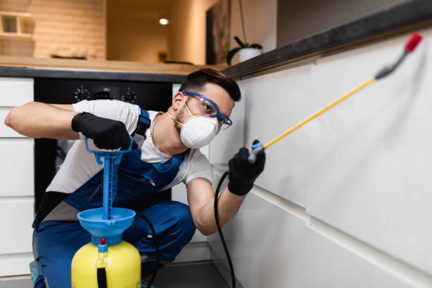 Best Cockroach Control Services  in South Greeley, WY