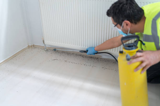 Best Best Pest Control Companies  in South Greeley, WY